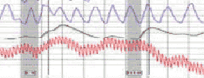 polygraph Glendale Burbank